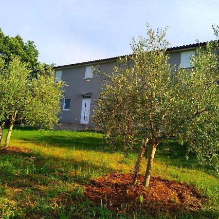 Apartments Valeria Divšići Kültér fotó