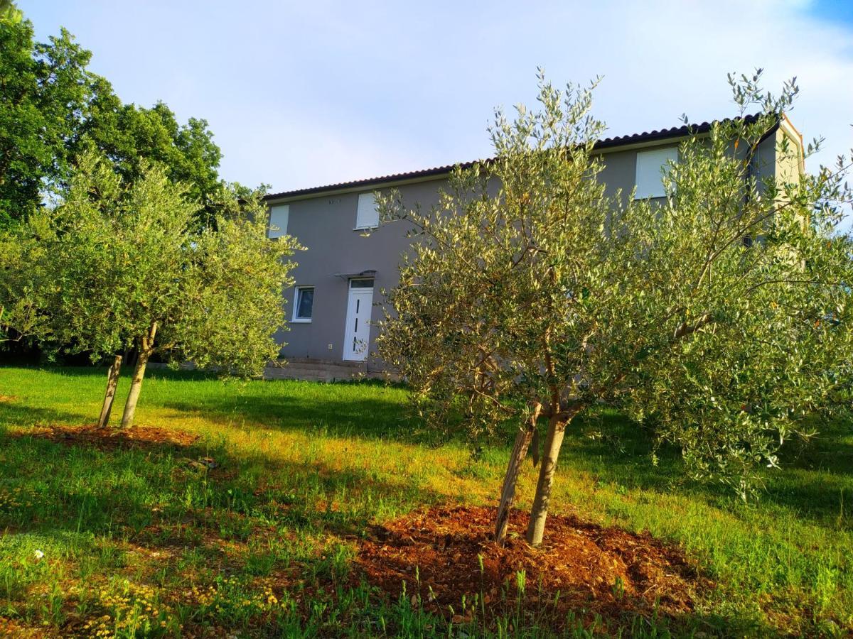 Apartments Valeria Divšići Kültér fotó
